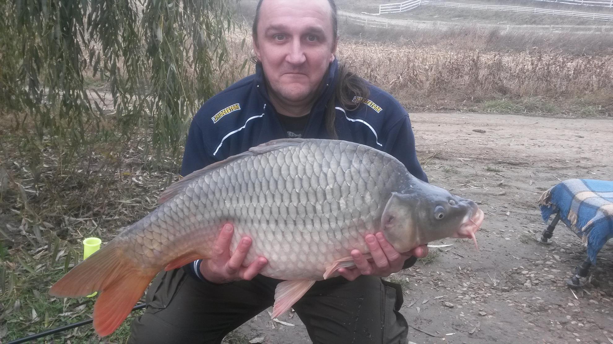 magura 9 - 201411091232231.jpg